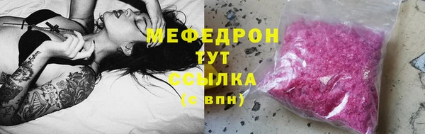 стаф Каменка