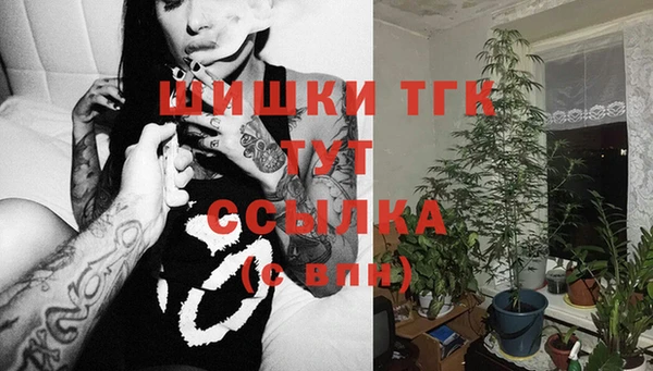 твердый Каменногорск