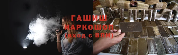 стаф Каменка
