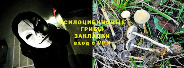 стаф Каменка