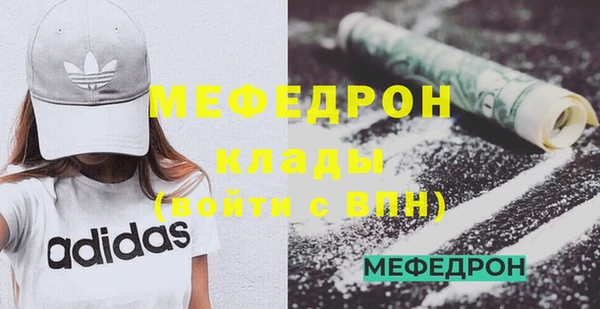 стаф Каменка
