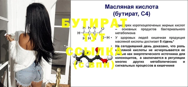 стаф Каменка