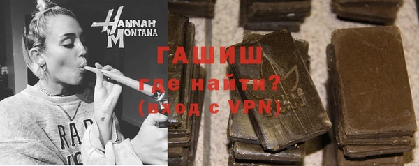 стаф Каменка